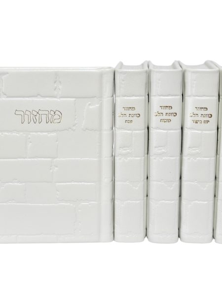 סט מחזורים עור אמיתי דגם כותל צבע לבן